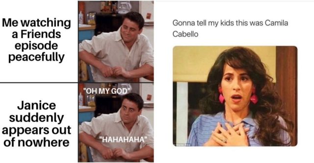 Friends: 10 Best Janice Memes