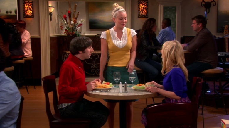 Penny's career in the Big Bang Theory
