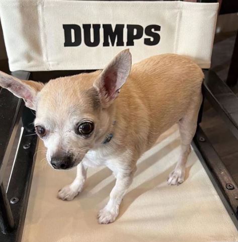 Kaley Cuoco Dog Dumps